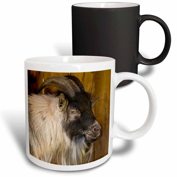 3drose, African Pygmy Goat Portrait., 11oz Magic Transforming Mug
