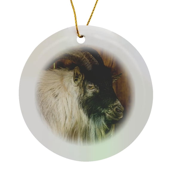 3drose, African Pygmy Goat Portrait., Circle Porcelain Ornament