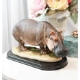 thumbnail image 1 of African River Common Hippopotamus Statue On Black Gallery Base 11"L Hippo Decor, 1 of 8