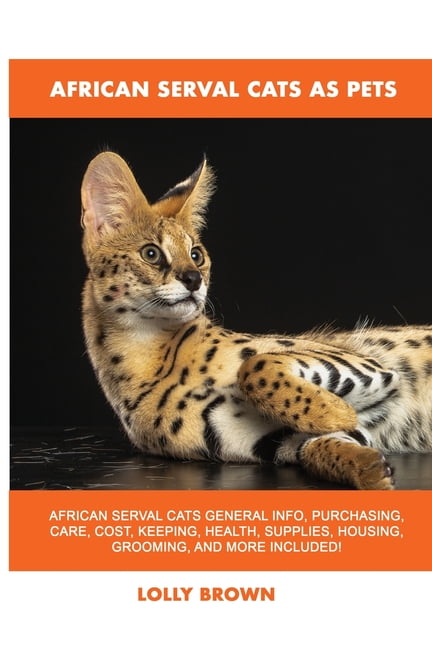 African Full Grown Serval Cat African Serval Cats: A Guide To