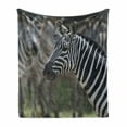 thumbnail image 1 of African Soft Flannel Fleece Throw Blanket, Zebra in Serengati National Park Safari Animal in Desert Picture, Cozy Plush for Indoor and Outdoor Use, 50" x 70", Black White Reseda Green, by Ambesonne, 1 of 6
