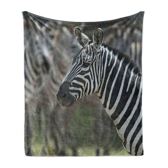 African Soft Flannel Fleece Throw Blanket, Zebra in Serengati National Park Safari Animal in Desert Picture, Cozy Plush for Indoor and Outdoor Use, 70" x 90", Black White Reseda Green, by Ambesonne