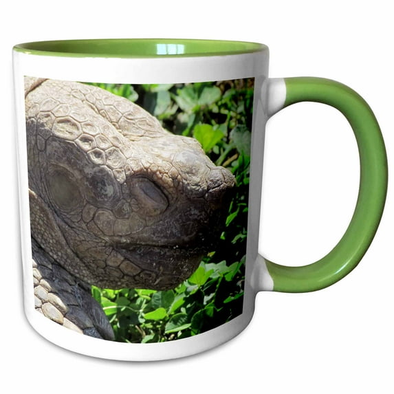 3drose, African Spurred Tortoise Profile Face, 11oz Two-tone Green Mug