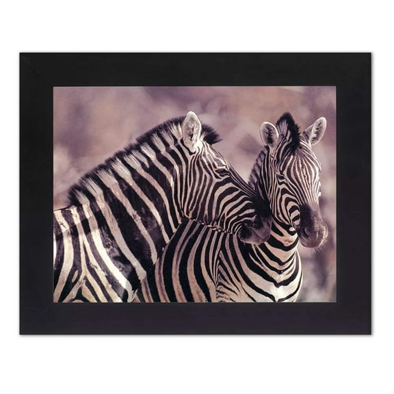 African Striped Zebras Hugging Photo Wall Picture Black Framed