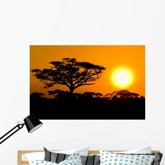 African Sunset Savannah Kenya Wall Mural Decal Sticker, Wallmonkeys Peel & Stick Vinyl Graphic (48 in W x 31 in H)