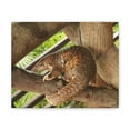 thumbnail image 1 of African Tree Pangolin Hanging On The Tree Staring African Tree Pangolin Outdoor Wall Art Ready To Hang Unframed, 1 of 7