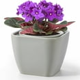 thumbnail image 1 of EFISPSS 6-Inch Grey Square Ceramic Self-Watering Pot for African Violets, Indoor Planter, 1 Count, 1 of 8