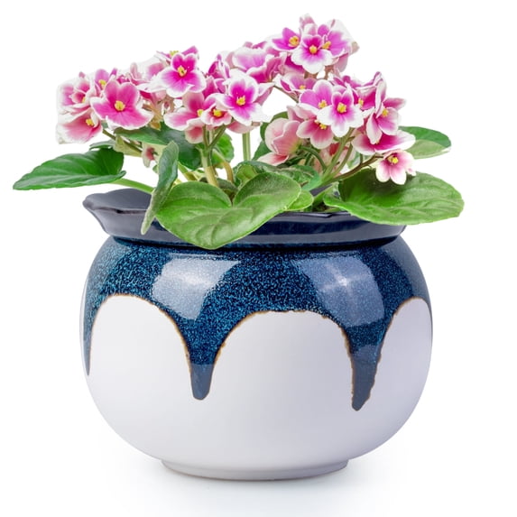 EFISPSS 6" Self-Watering Ceramic African Violet Pots – Blue Gradient | Minimalist Home Decor