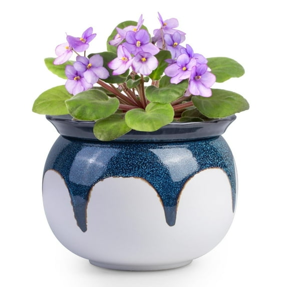 EFISPSS 6" Self-Watering Ceramic African Violet Pots – Blue Gradient | Minimalist Home Decor