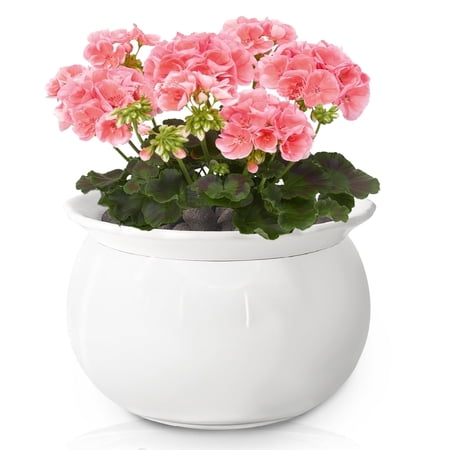EFISPSS 6" Self-Watering Ceramic African Violet Pots – White Gradient | Minimalist Home Decor
