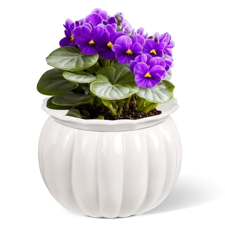 EFISPSS 6" Self-Watering Pumpkin-Style Ceramic African Violet Pot – Pumpkin-White Indoor Planter, No Plant Included