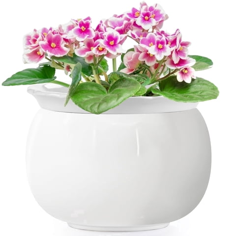 BUYMAX 8 inch Ceramic Self Watering Pots,African Violet Pot with Absorbent Inner Pot for Flowers，White