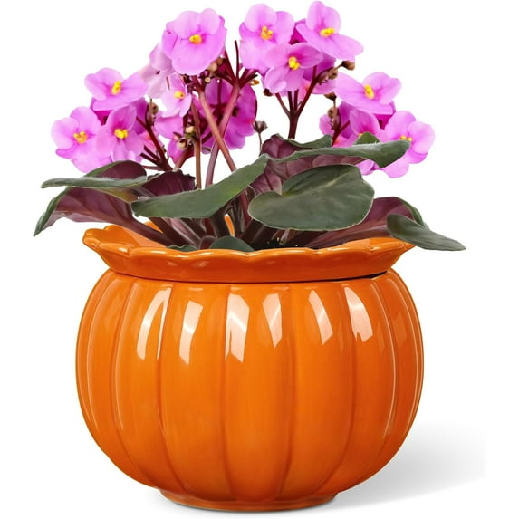 African Violet Pots, Self-Watering Ceramic Planter – 6 Inch Pot for Indoor Plants, Simple Self-Watering Design for Home & Office Décor, Bright Pumpkin Orange