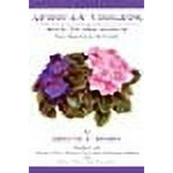 African Violets Back to the Basics: Your Questions Answered (Paperback) by Melvin J Robey