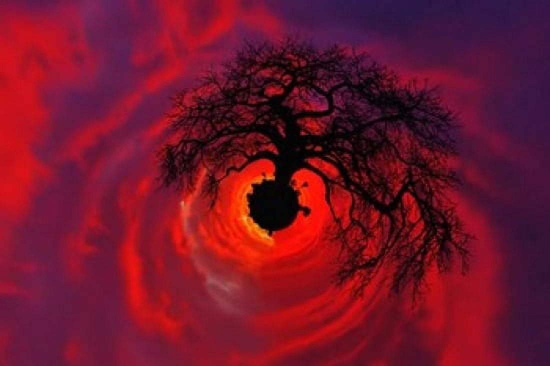 African baobab tree silhouetted at sunset Tarangire National Park Tanzania Canvas Art - Adam Jones DanitaDelimont (24 x 15)