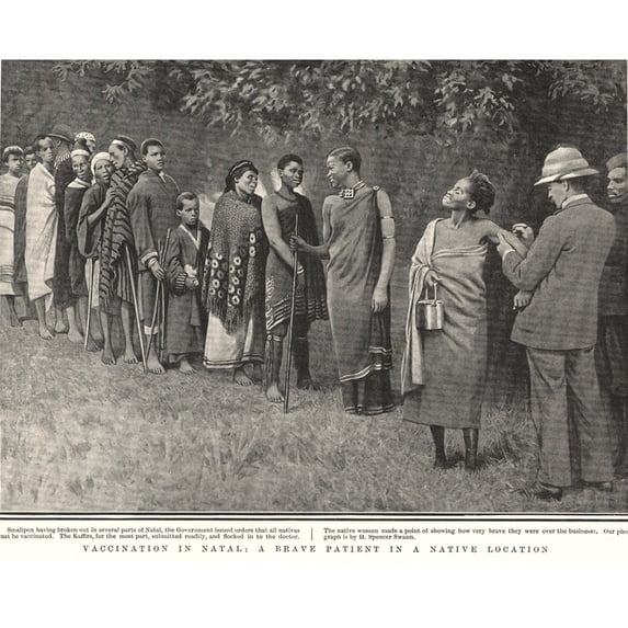 Africans Of Natal History (36 x 24)