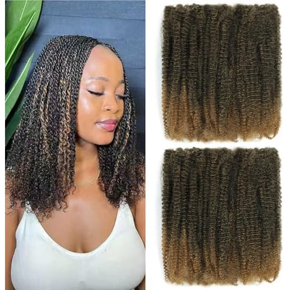 Afro Kinky Curly Braiding Hair For Mini Braiding Twists ,Afro Kinkys Synthetic Hair For Spring Twist,Dreadlock Extensions (T27, 12inch(3pcs))