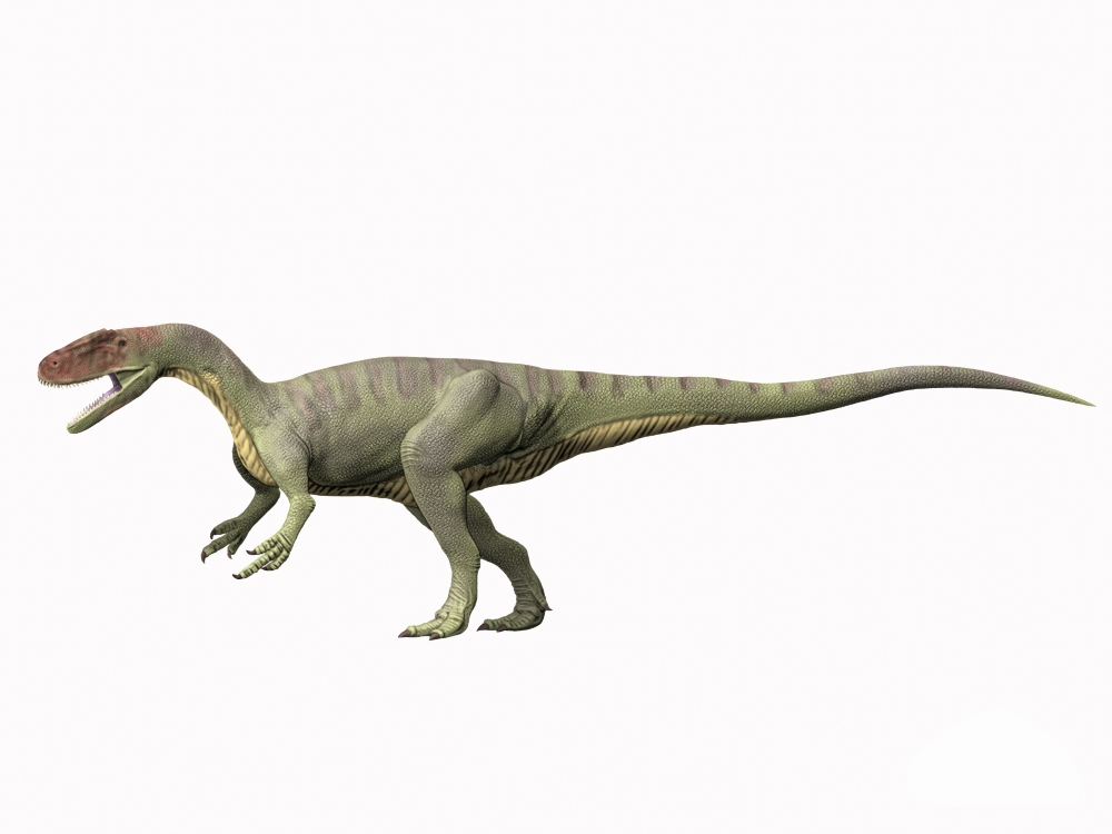 Afrovenator abakensis Middle Jurassic of Niger Canvas Art - Nobumichi TamuraStocktrek Images (33 x 25)