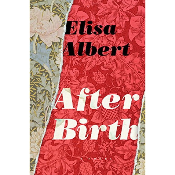 Pre-Owned After Birth (Hardcover) 0544273737 9780544273733