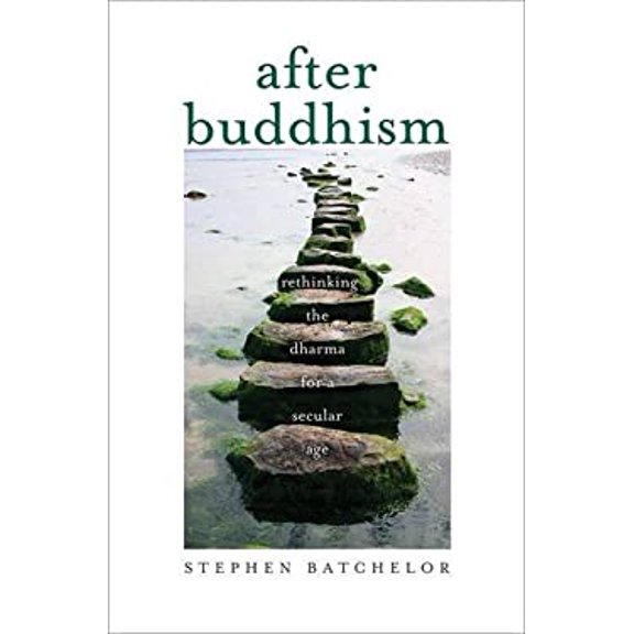 Pre-Owned After Buddhism: Rethinking the Dharma for a Secular Age (Paperback) 0300224346 9780300224344