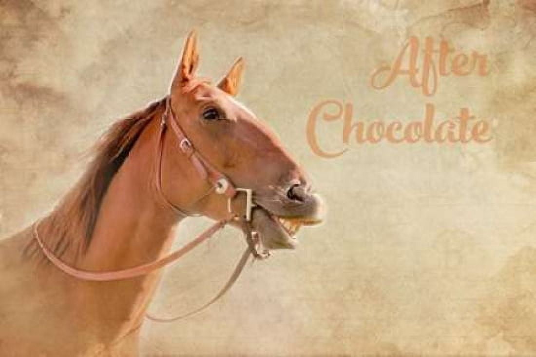 After Chocolate II Canvas Art - Ramona Murdock (12 x 18)
