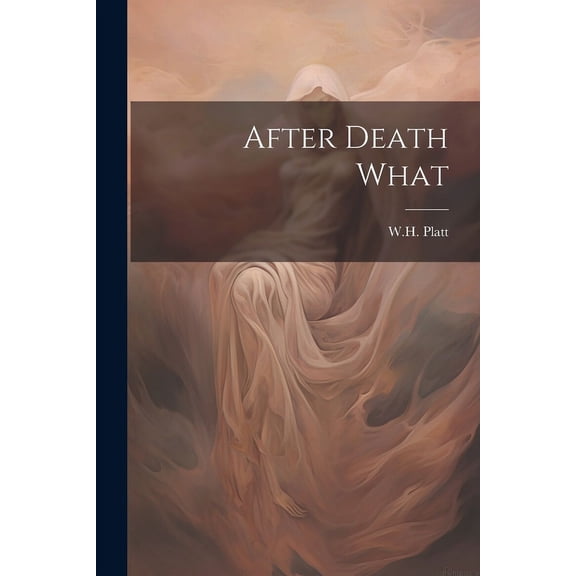 After Death What (Paperback)