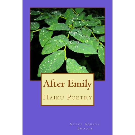 After Emily: Poetry by Steve Abhaya Brooks Paperback 1721828176 9781721828173 Steve Abhaya Brooks