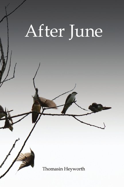 After June, (Paperback)