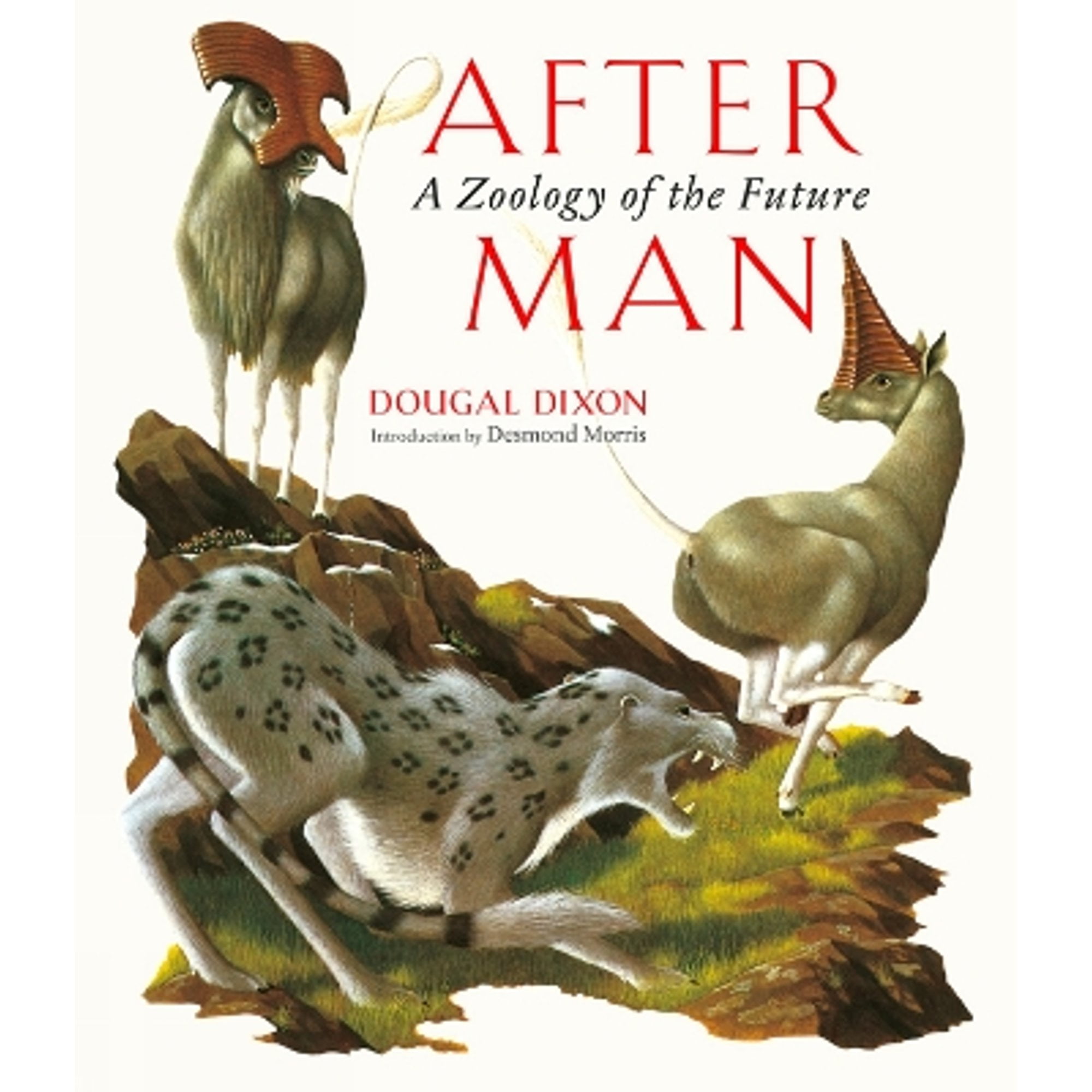 Pre-Owned After Man: A Zoology of the Future (Hardcover) by Dougal Dixon