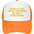 After My Dog Ate My Pronouns He She It Everywhere Mesh Hat Baseball Cap