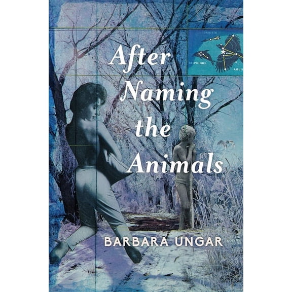 After Naming the Animals, (Paperback)