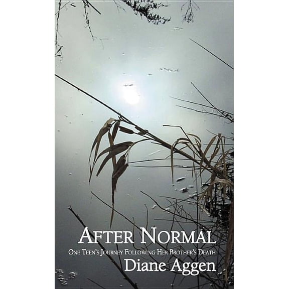 After Normal: One Teen's Journey Following Her Younger Brother's Death (Paperback)
