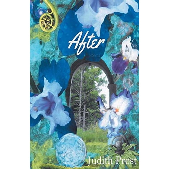 After (Paperback)