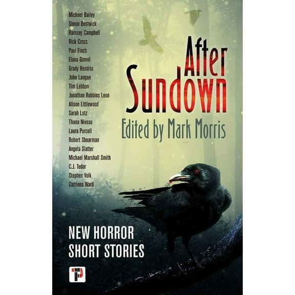 After Sundown (Paperback)