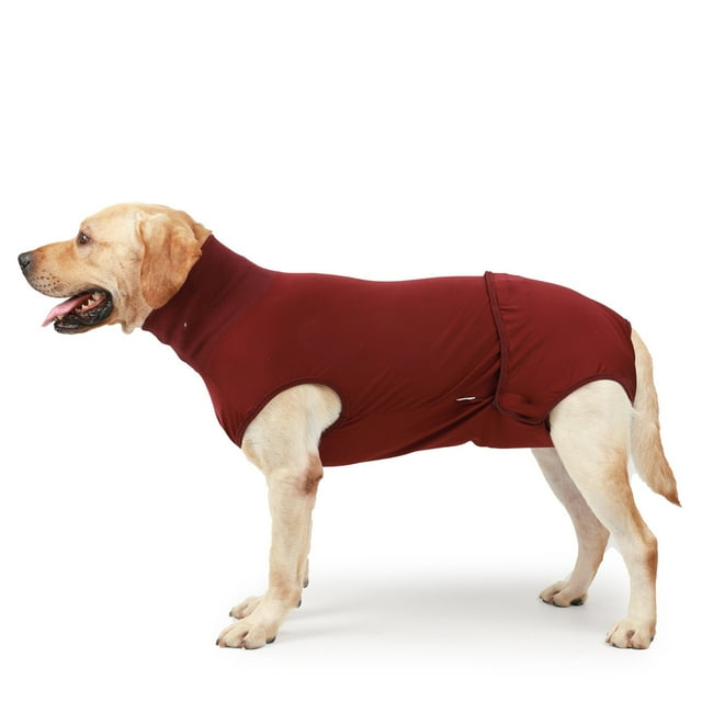 After Surgery Dog Recovery Onesie, Post Spay, Neuter, Body Suit for Male and Female Dogs