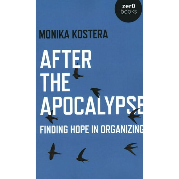 After The Apocalypse : Finding Hope in Organizing (Paperback)