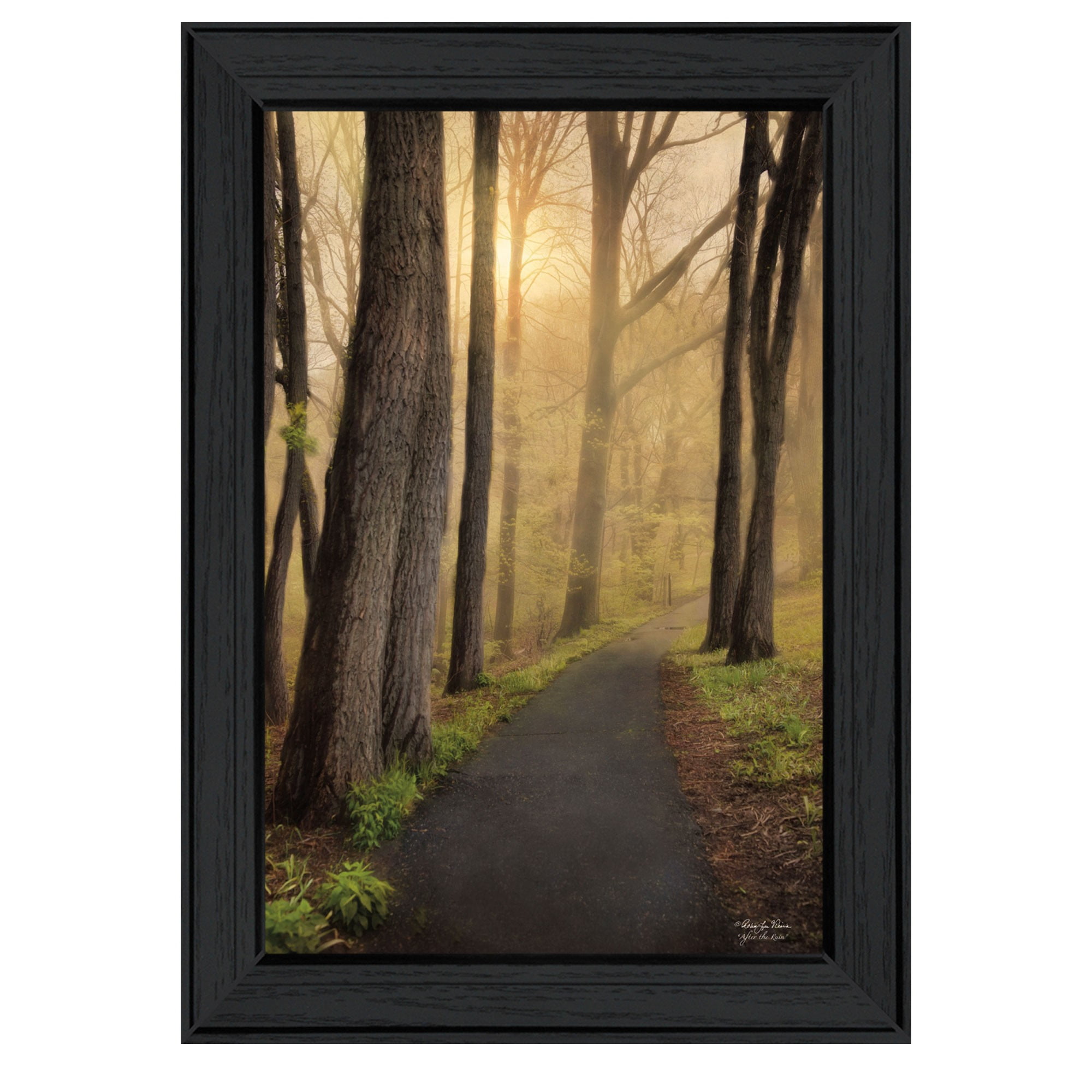 After The Rain Black Framed Forest Path Print Wall Art
