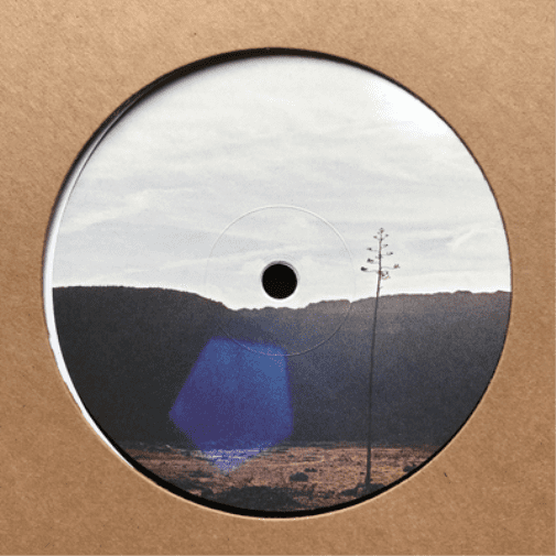 After We're All Gone EP (LP)