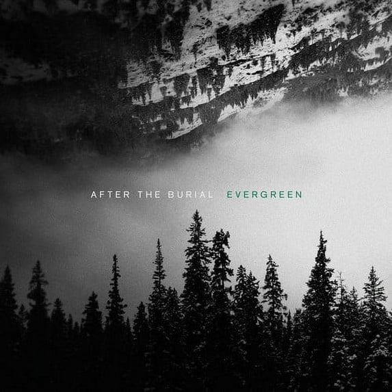 After the Burial - Evergreen - Music & Performance - Vinyl