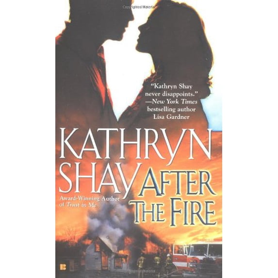 Pre-Owned After the Fire: 6 (Mass Market Paperback) 0425193047 9780425193044