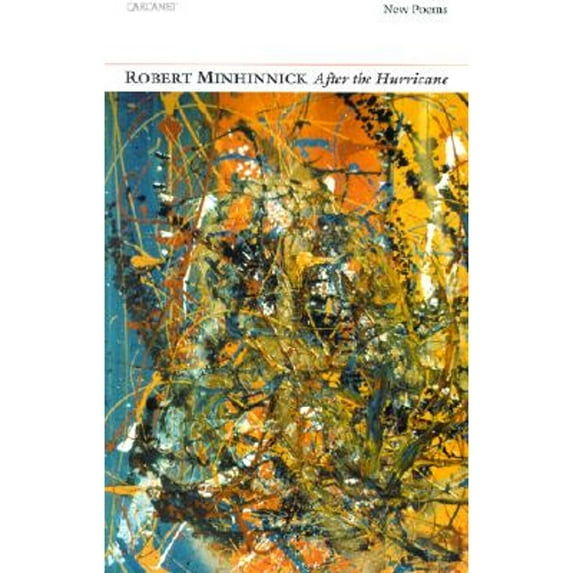 Pre-Owned After the Hurricane: New Poems (Paperback 9781857545630) by Robert Minhinnick