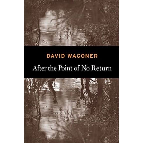 Pre-Owned After the Point of No Return (Paperback) by David Wagoner
