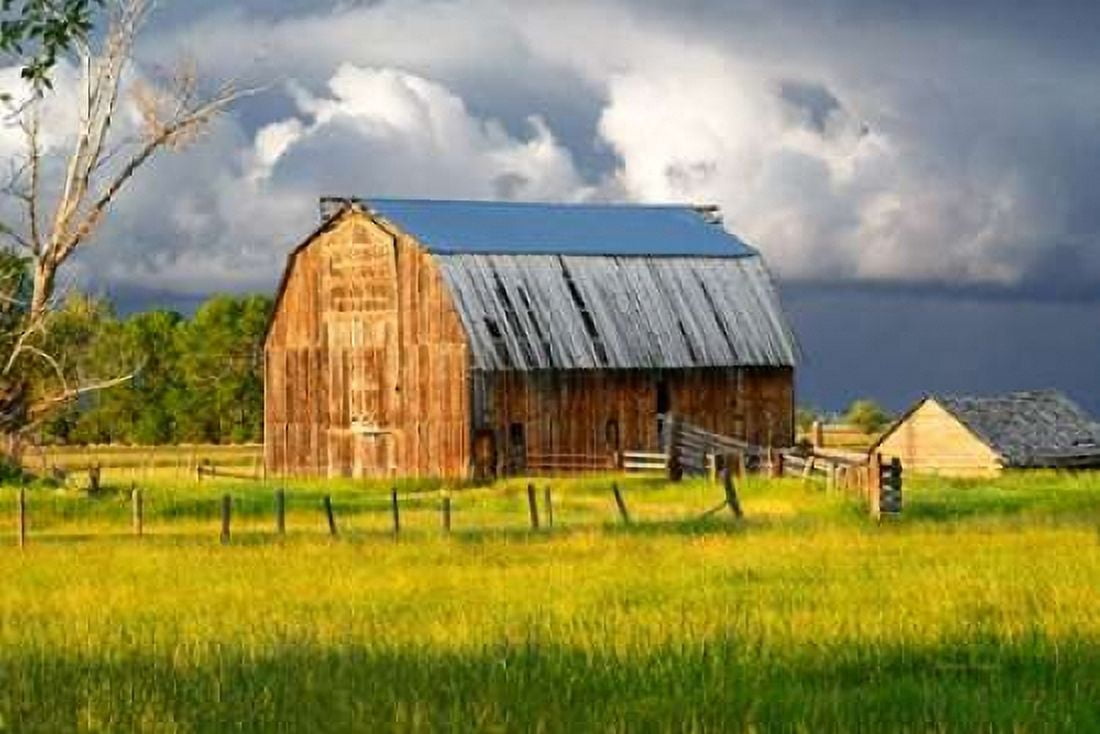 After the Storm I Canvas Art - Ramona Murdock (24 x 36)