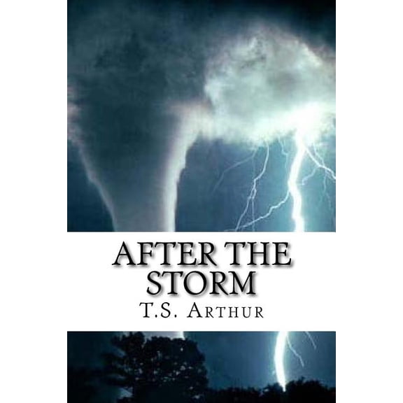 After the Storm (Paperback)