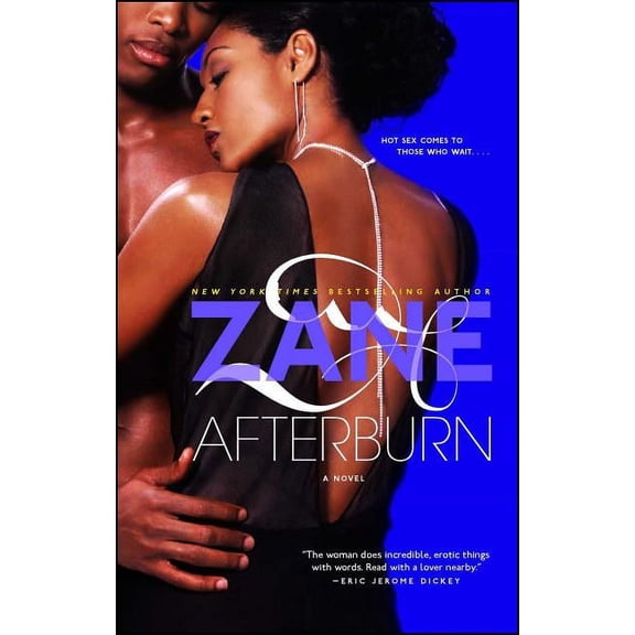 Afterburn : A Novel (Paperback)