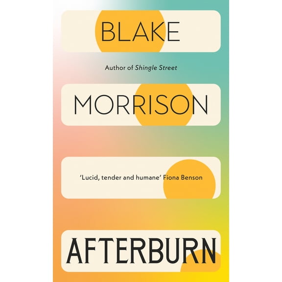 Afterburn (Paperback)