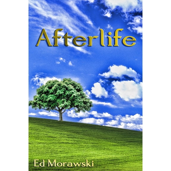 Afterlife, (Paperback)