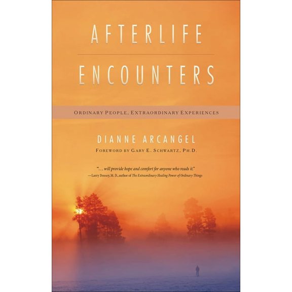 Afterlife Encounters : Ordinary People, Extraordinary Experiences (Paperback)