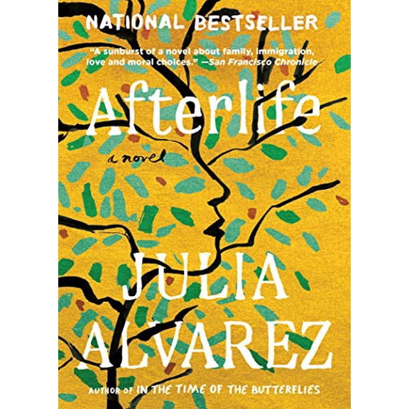 Pre-Owned Afterlife (Paperback) 1643751360 9781643751368