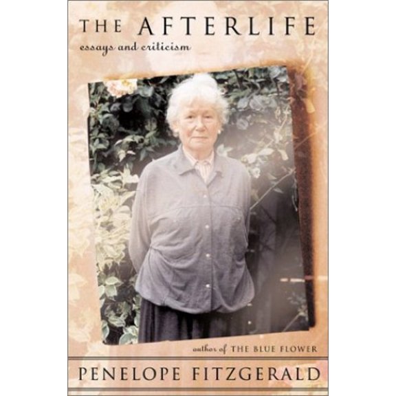 Pre-Owned The Afterlife: Essays and Criticism (Hardcover) 1582431981 9781582431987
